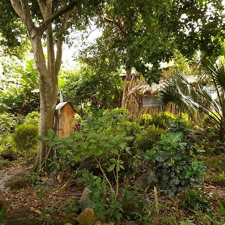 El Bamboo Cabins Balgue Esterno foto