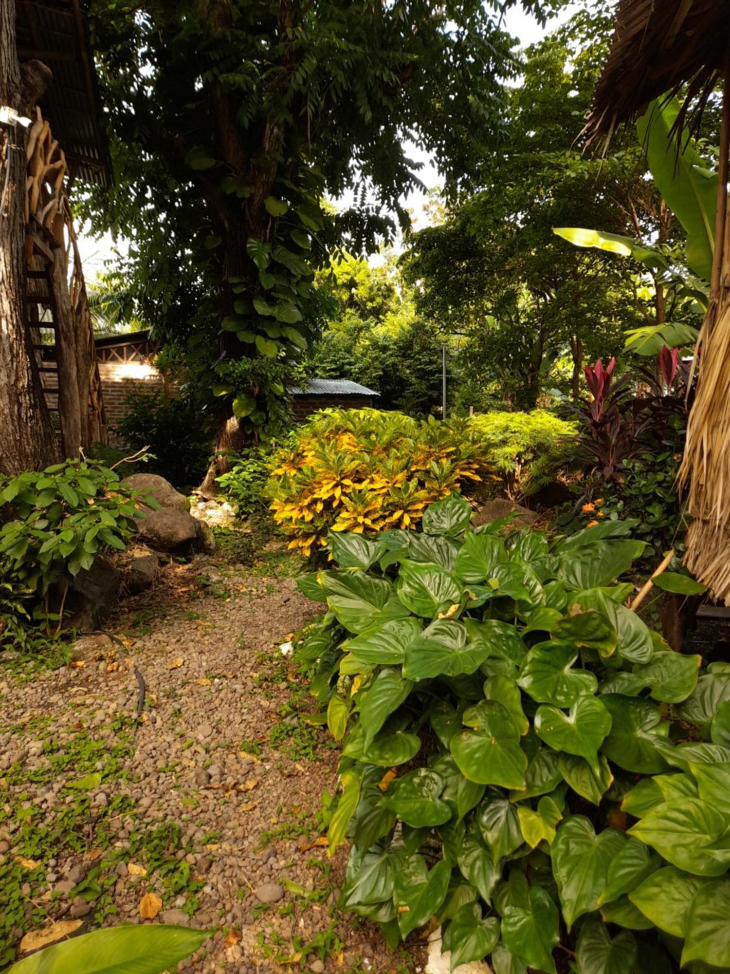 El Bamboo Cabins Balgue Esterno foto