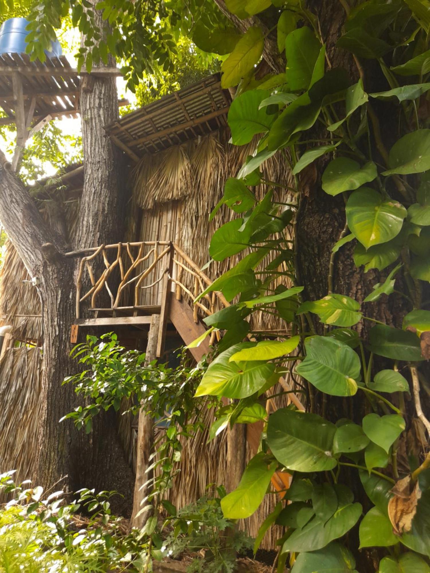 El Bamboo Cabins Balgue Esterno foto