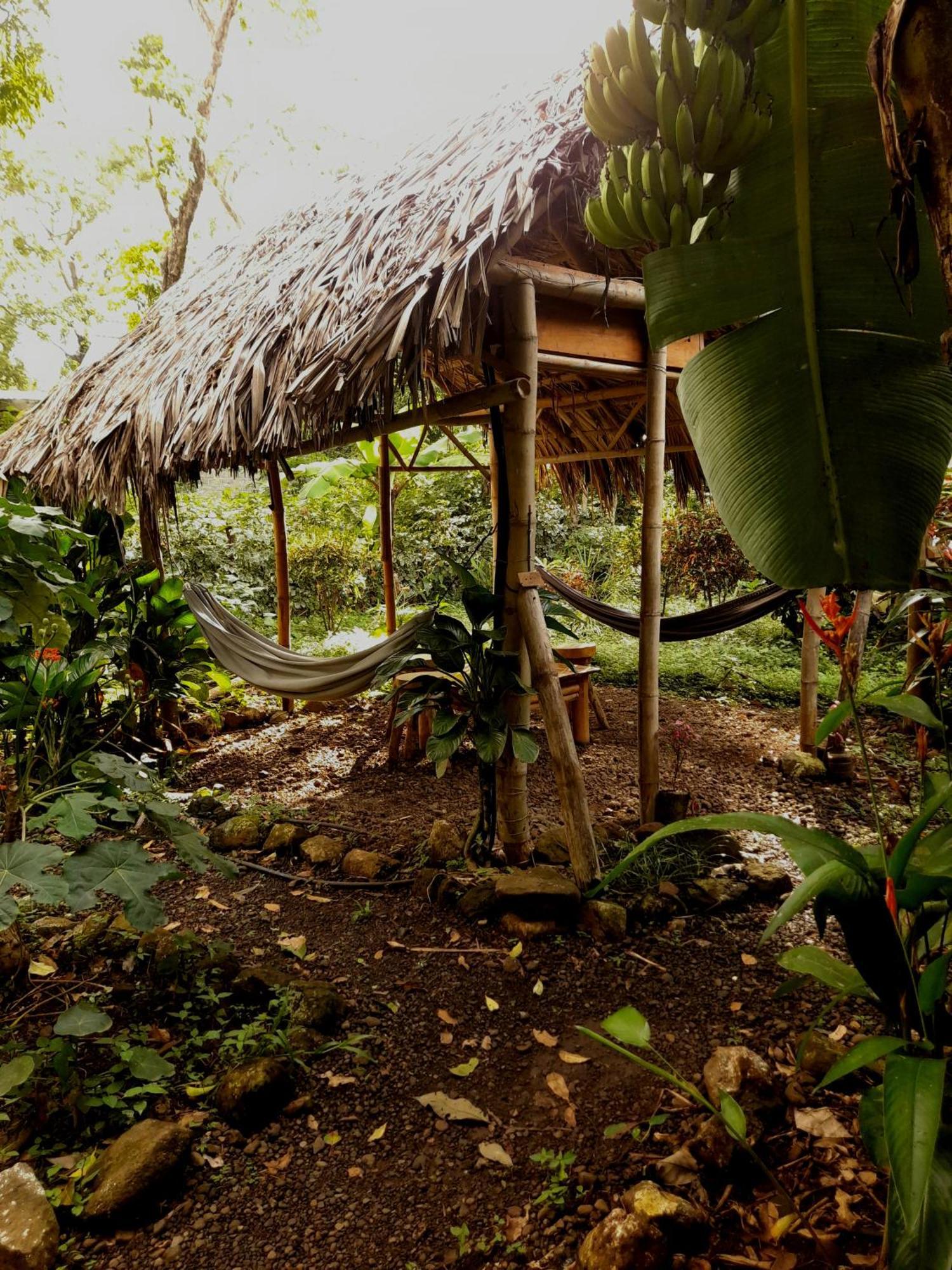 El Bamboo Cabins Balgue Esterno foto