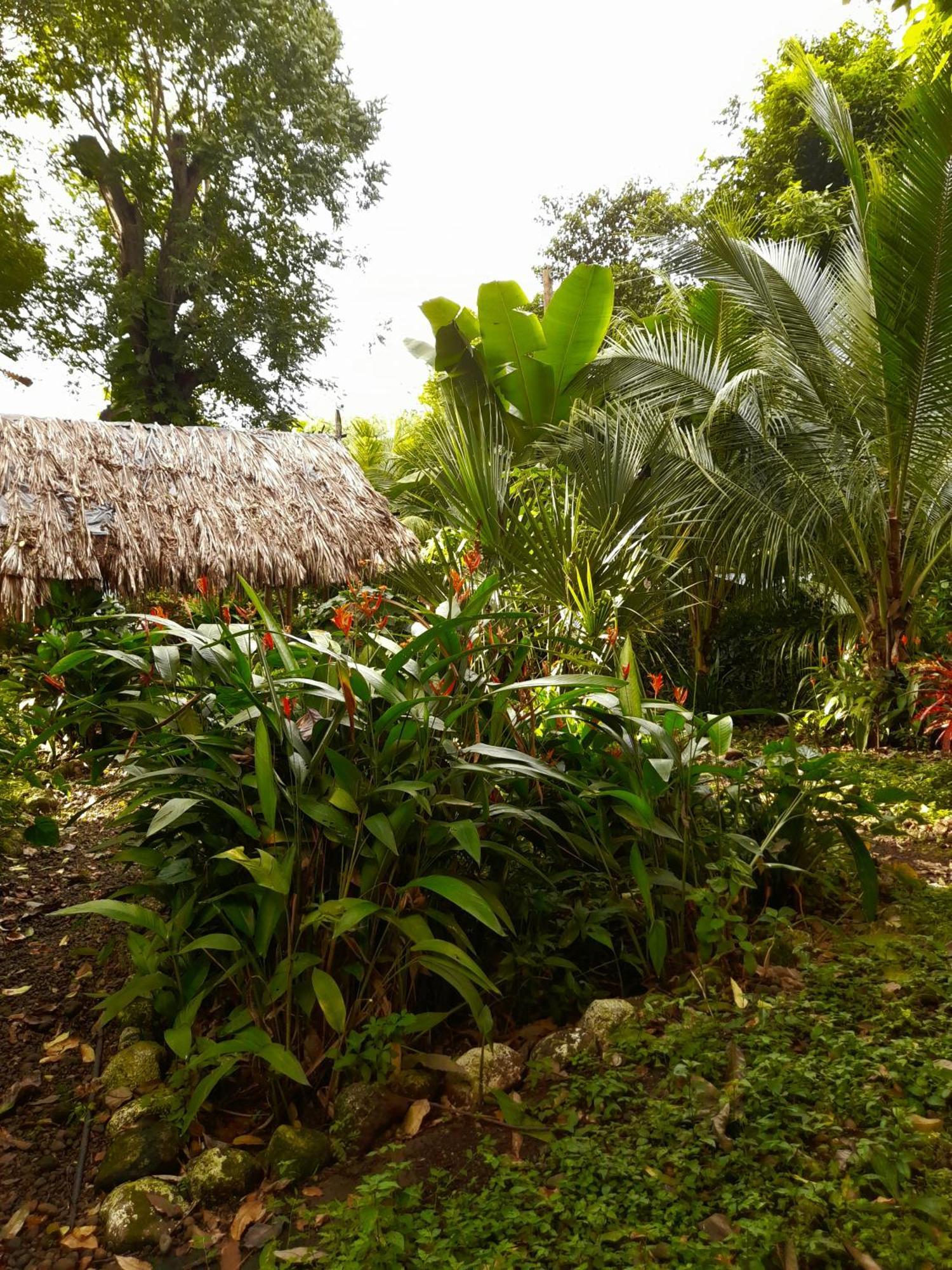 El Bamboo Cabins Balgue Esterno foto