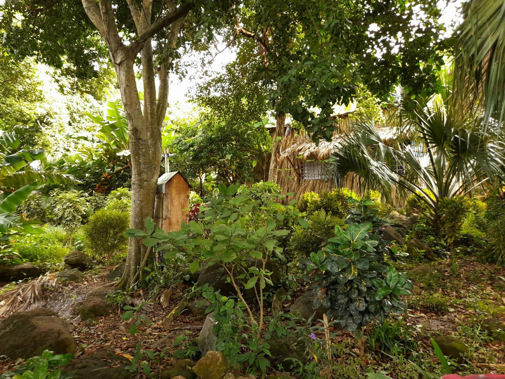 El Bamboo Cabins Balgue Esterno foto