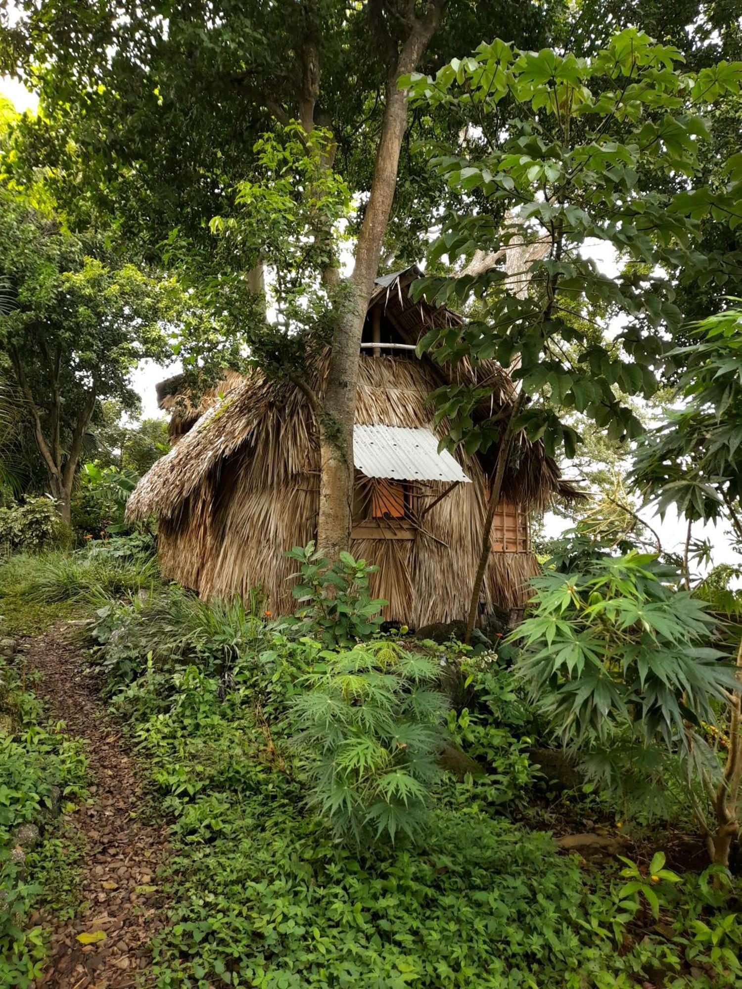 El Bamboo Cabins Balgue Esterno foto
